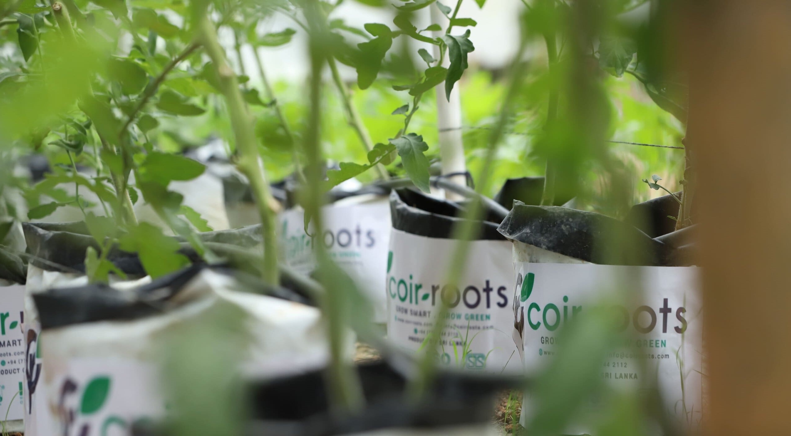 open-top-bags-banner-image