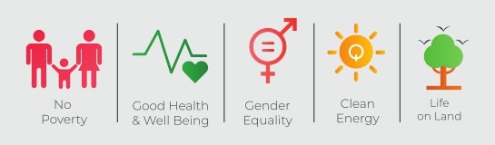 Sustainability Image